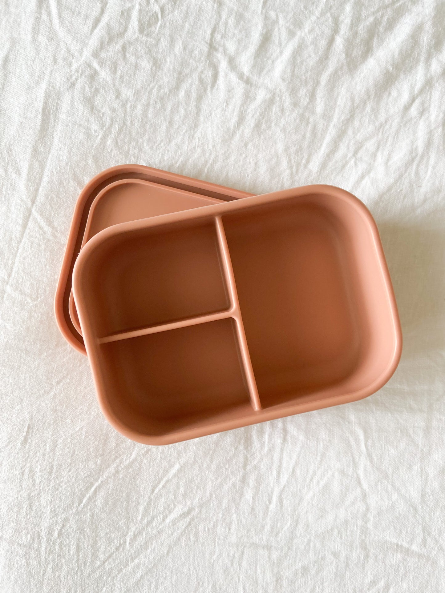 Silicone Bento Box Coral