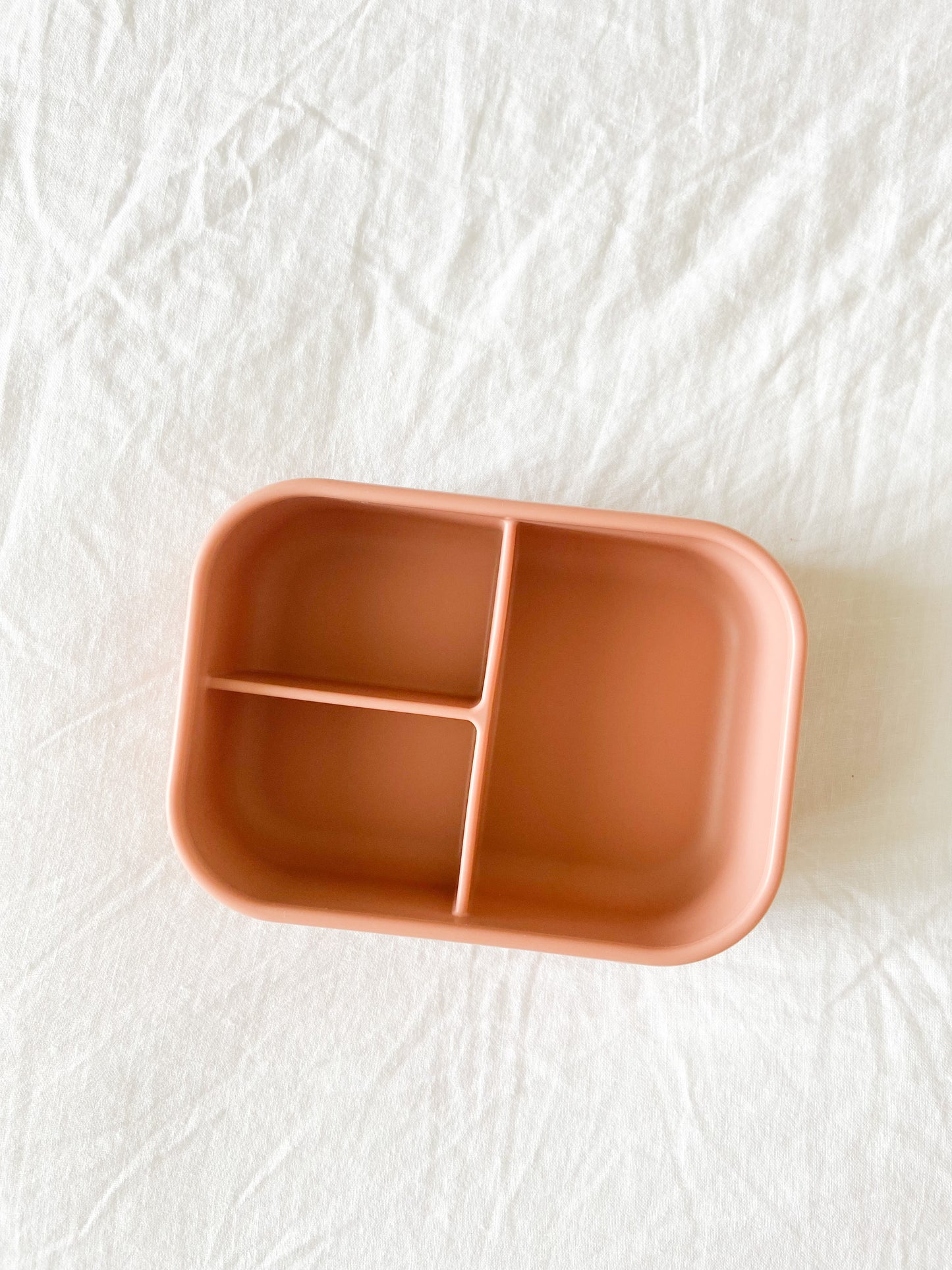 Silicone Bento Box Coral